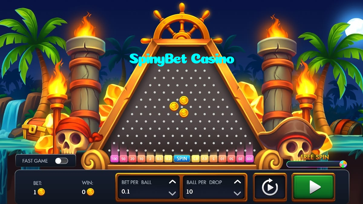 available types of SpinyBet Casino bet including pre-match live express and system bets