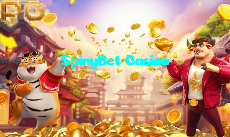 available types of SpinyBet Casino bet including pre-match live express and system bets